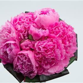 fwthumbPeonie Bouquet.jpg